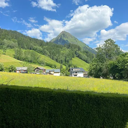 Haus Ritter 286 Schoppernau